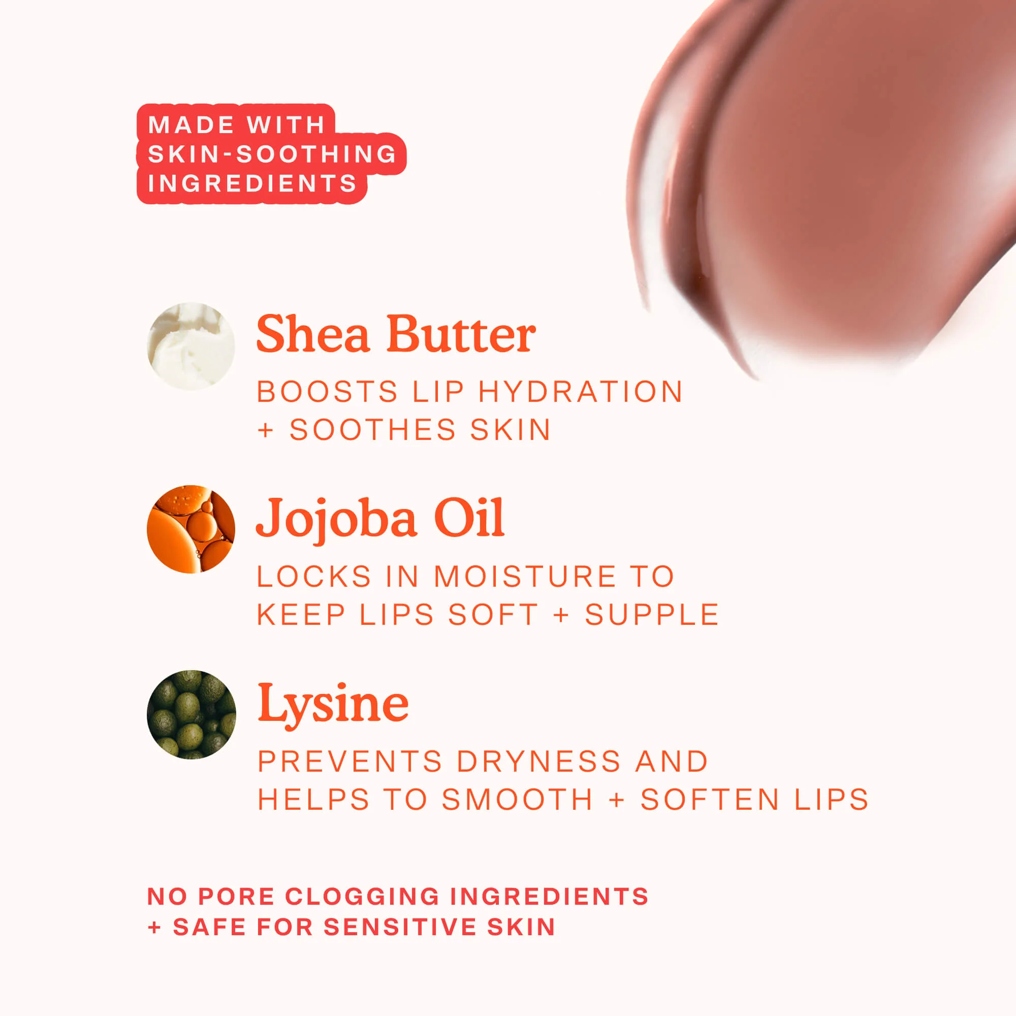 INGREDIENT_INFOGRAPHIC-SP